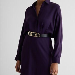 Express Collared Half Button Up Mini Portofino Shirt Dress in Deep Purple
